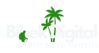 The Best Digital Marketer
