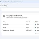 The Best Digital Marketer